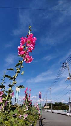 子育て支援センター