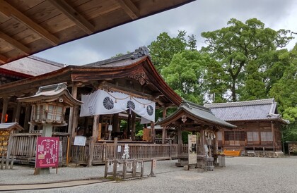 土佐神社