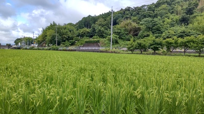 笑顔にスイッチ・オン