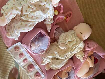 親子で学ぶ『いのちのはなし』