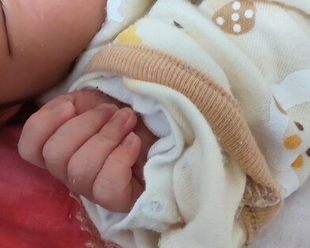 直母と保護器の相談