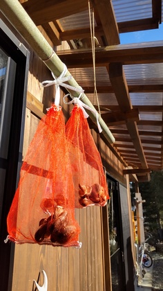 里山の産後ケア