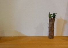 節分　豆まきしましたか