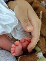 オンラインや出張での相談、訪問も行っています