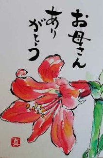 アマリリスが咲きました